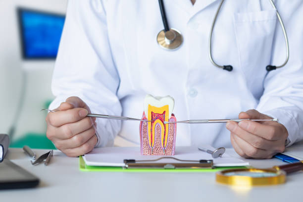 Best Emergency Orthodontic Repairs in Leavenworth, KS